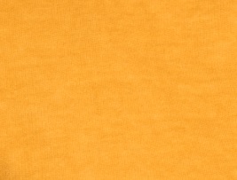Swatch image